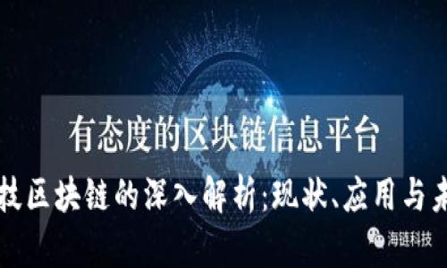 科技区块链的深入解析：现状、应用与未来