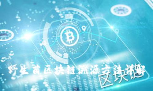 野生菌区块链溯源方法详解