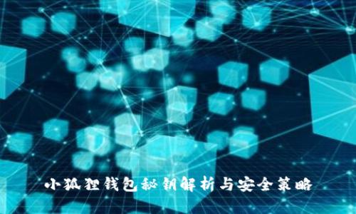 小狐狸钱包秘钥解析与安全策略