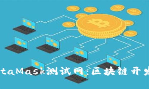 深入了解MetaMask测试网：区块链开发的重要工具