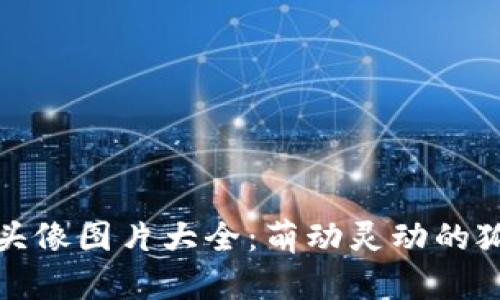 小狐狸钱包头像图片大全：萌动灵动的狐狸形象展现