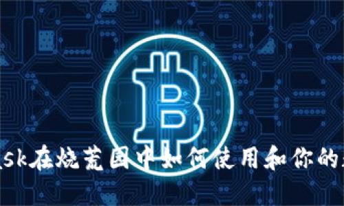 MetaMask在烧荒园中如何使用和你的数字资产