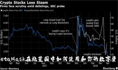 MetaMask在烧荒园中如何使用和你的数字资产