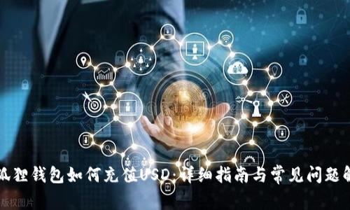小狐狸钱包如何充值USD：详细指南与常见问题解答
