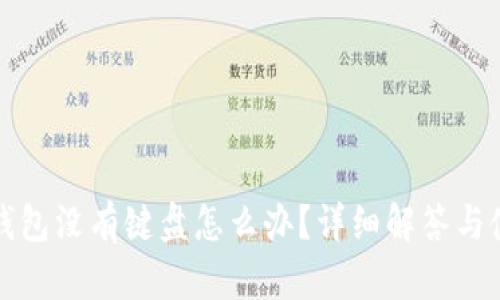小狐狸钱包没有键盘怎么办？详细解答与使用指南