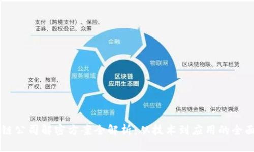 区块链公司解密方案全解析：从技术到应用的全面指南
