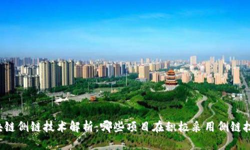 区块链侧链技术解析：哪些项目在积极采用侧链技术？