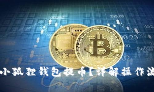 中本聪如何在小狐狸钱包提币？详解操作流程与注意事项