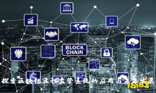 探索区块链柔性监管系统的应用与未来发展
