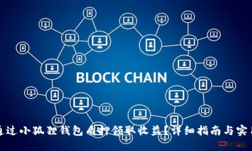 如何通过小狐狸钱包质押领取收益？详细指南与实用技巧