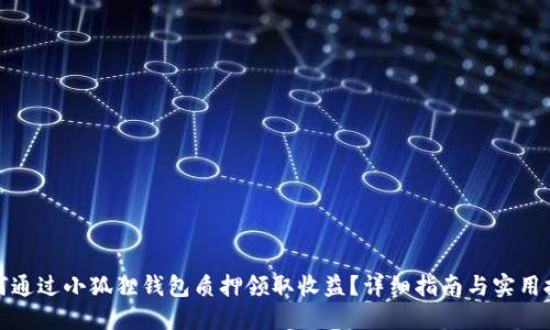 如何通过小狐狸钱包质押领取收益？详细指南与实用技巧