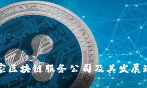 国家区块链服务公司及其发展现状