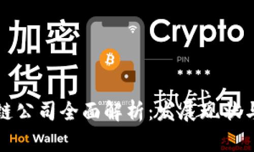 南京区块链公司全面解析：发展现状与未来趋势