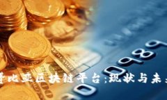 赞比亚区块链平台：现状