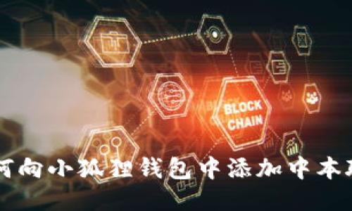 如何向小狐狸钱包中添加中本聪币