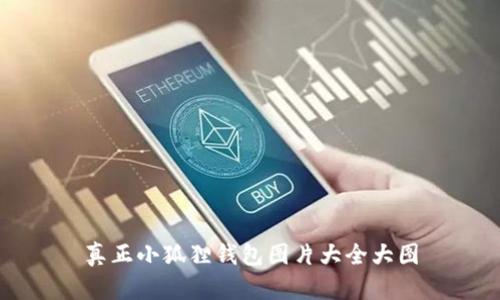 真正小狐狸钱包图片大全大图