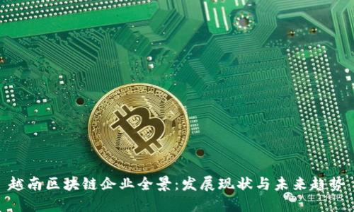 越南区块链企业全景：发展现状与未来趋势