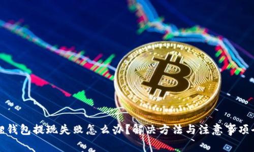 小狐狸钱包提现失败怎么办？解决方法与注意事项全解析