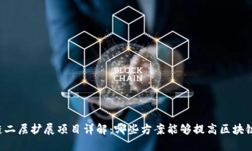 区块链二层扩展项目详解：哪些方案能够提高区块链性能？