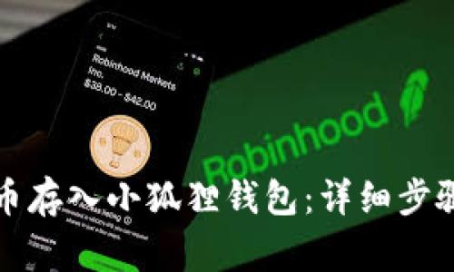 如何将狗狗币存入小狐狸钱包：详细步骤与注意事项