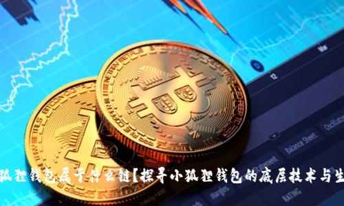 小狐狸钱包属于什么链？探寻小狐狸钱包的底层技术与生态