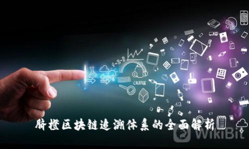 脐橙区块链追溯体系的全面解析