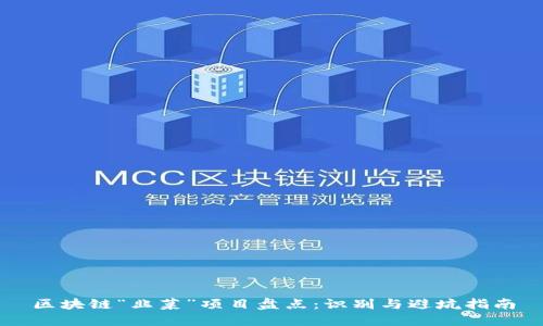 区块链“韭菜”项目盘点：识别与避坑指南