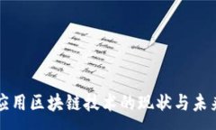 :全面应用区块链技术的现状与未来展望