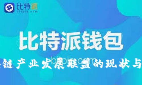区块链产业发展联盟的现状与未来