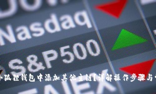 如何在小狐狸钱包中添加其他主链？详解操作步骤与常见问题