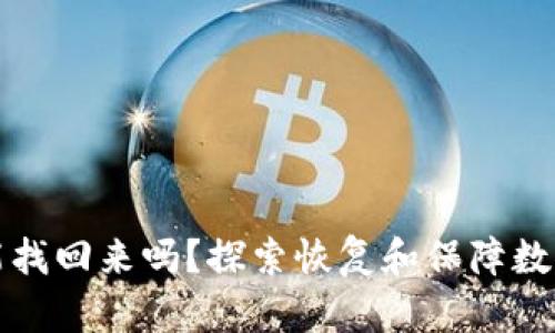 小狐狸钱包能找回来吗？探索恢复和保障数字资产的方法