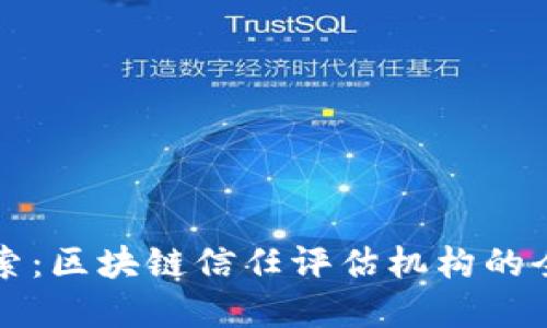 深入探索：区块链信任评估机构的全景指南