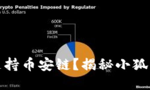 小狐狸钱包是否支持币安链？揭秘小狐狸钱包的多链生态