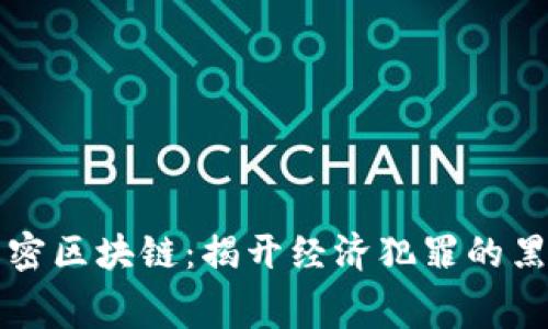 解密区块链：揭开经济犯罪的黑幕
