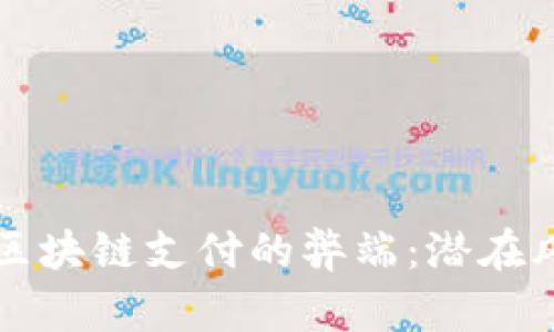 深入探讨区块链支付的弊端：潜在风险与挑战