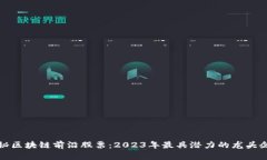 揭秘区块链前沿股票：2