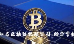 盘点全球知名区块链视频