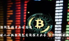 小狐狸钱包图片大全高清