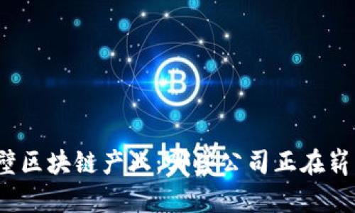 探索鹤壁区块链产业：哪些公司正在崭露头角？