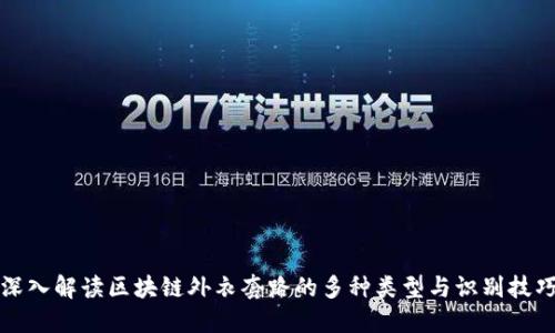 深入解读区块链外衣套路的多种类型与识别技巧