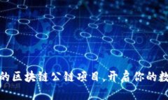 探索最热门的区块链公链