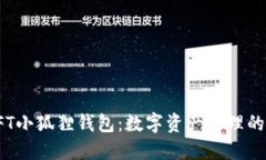 探索NFT小狐狸钱包：数字