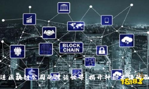 走进区块链公司的黑话世界：揭开神秘术语的面纱