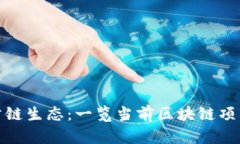 探索上海的公链生态：一