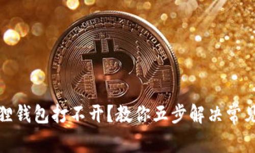 小狐狸钱包打不开？教你五步解决常见问题