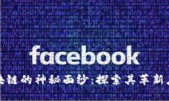 揭开区块链的神秘面纱：