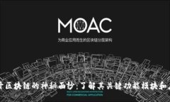 揭开区块链的神秘面纱：