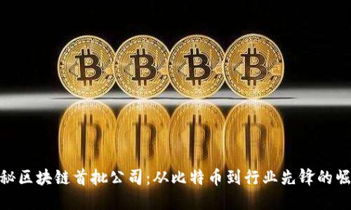 揭秘区块链首批公司：从比特币到行业先锋的崛起