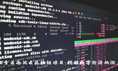 探索云南优质区块链项目：挖掘数字经济的潜力