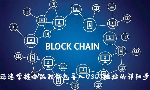 : 迅速掌握小狐狸钱包导入USDT地址的详细步骤